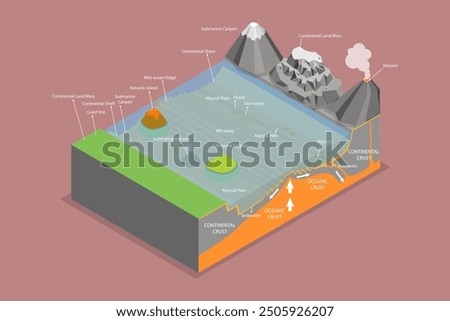 3D Isometric Flat Vector Illustration of Structure of Oceanic Basin, Educational Schema