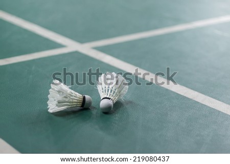 Badminton - badminton courts with two shuttlecocks