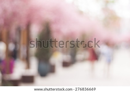Sakura street, not in focus : Blurred background