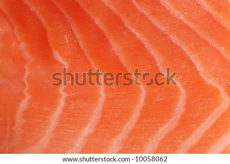 Red fish background