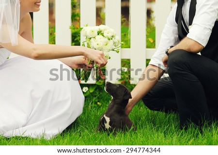 Happy married couple playing with little black puppy. Bride\'s hands with wedding bouquet of beige flowers over white wooden fence and green lawn. Country vintage style. Outdoor shot