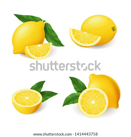 Realistic lemon with green leaf whole and sliced set, sour fresh fruit, bright yellow peel, set of lemons vector illustration isolated on white background