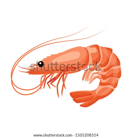 Shrimp icon in flat style, fresh sea food. Isolated on white background. Vector illustration.