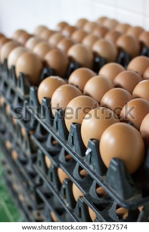 stack of eggs in tray