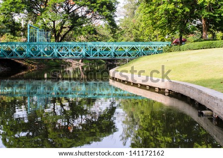 Green bridge over swamp in the garden