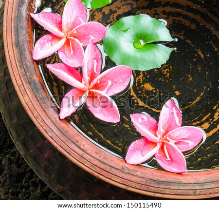 Pink Plumeria clay jar.