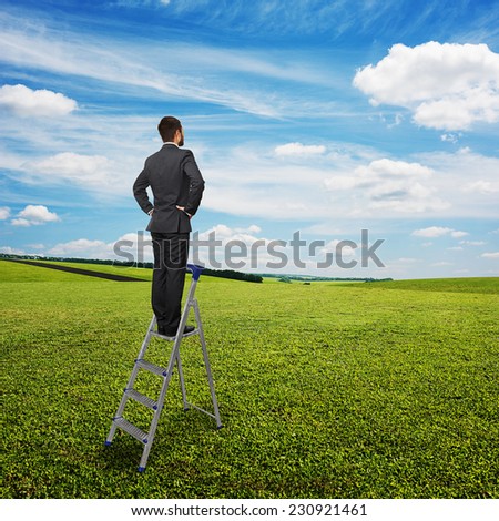 back view of businessman standing on the pair of steps and looking forward. photo over green grass and blue sky