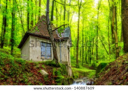 Water House in an enchanted green forest in Bavaria, Germany in spring