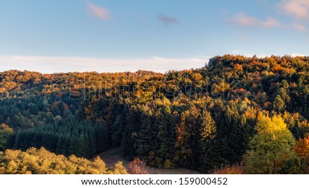 Idyllic Autumn Scenery with Colorful Orange Golden Trees near a lovely Country Road in the rocky Jura Mountains of Bavaria, Germany. Sunset in Fall with a wonderful clear sky in the rural countryside.