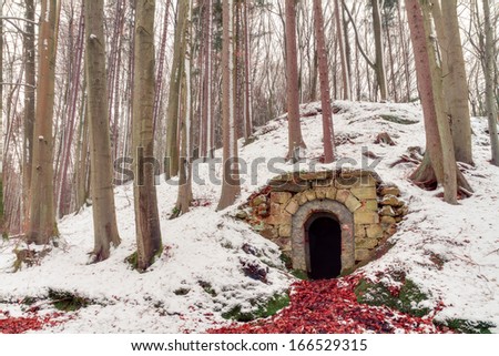 Dark Dungeon Entrance in a snowy Winter Forrest