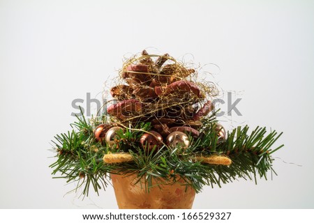 Isolated Christmas Flower Arrangement on a mono colored background