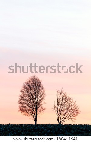 Amazing Spring Sunrise in Bavaria. Wide open meadow with lonely barren tree silhouettes in the Country. Beautiful and Picturesque Sky in vibrant colors