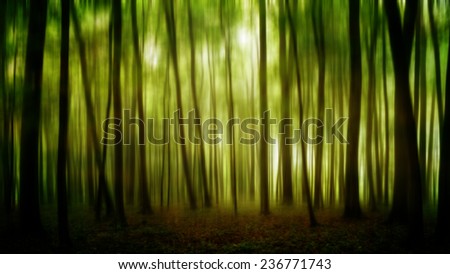 Dark and Dreary Forest. Distorted Image of a spooky magical forest