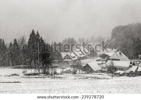 German Village Baerental during a Snow Storm at the Feldberg Mountain in the black forest. Black and White Vintage Winter Picture