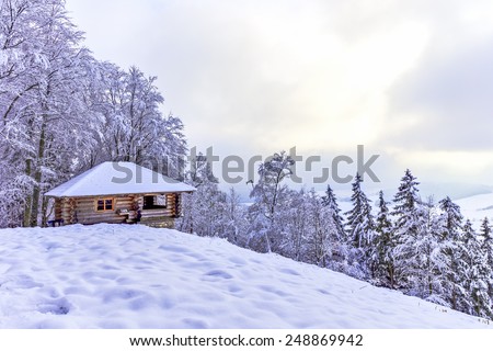 Cabin in the Woods. Old wooden Hut in the snowy winter woods of the black forest in Germany. Amazing snowed in trees and hill landscape