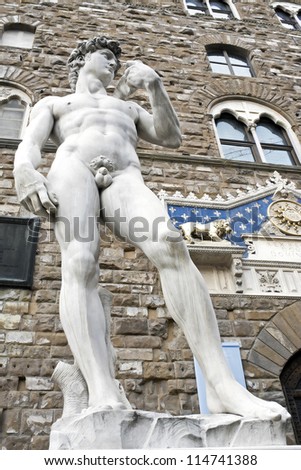 Michelangelo\'s David sculpture in Piazza della Signoria, Florence, Italy, Europe