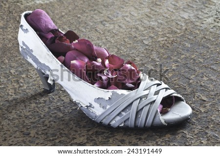 Still life of lady shoe covered with rose petals