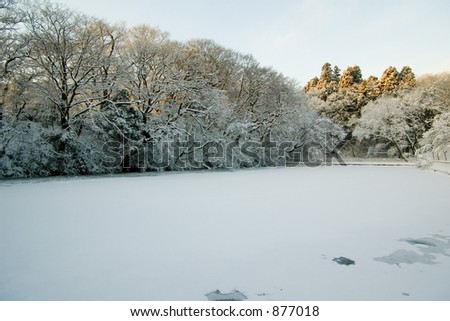 Pond under ice, winter in Japan