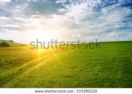 sun near the horizon and green field of grass