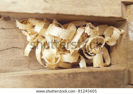 Wooden chips into old carpenter\'s wood planer
