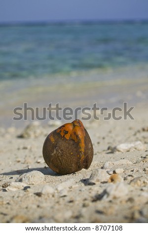 A macro shot of a coconut washed ashore on a deserted tropical beach with a lagoon in the background