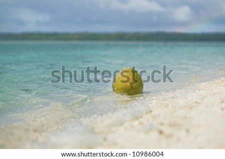 A macro shot of a coconut washed ashore on a deserted tropical beach with a lagoon in the background