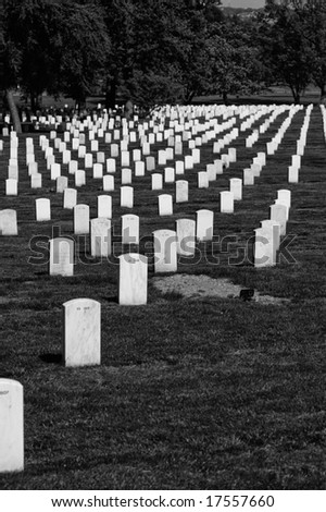 The Graveyard of Arlington Cemetery