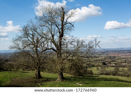 A Beautiful Tree Set In The English Countryside Overlooking The Views Down Into Gloucester From The A Beautiful Tree Set In The English Countryside Overlooking The Views Down Into Gloucester