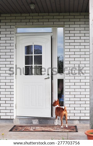 dog owner waiting on the porch at the door