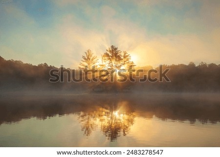 Similar – Foto Bild Nebel am See harmonisch