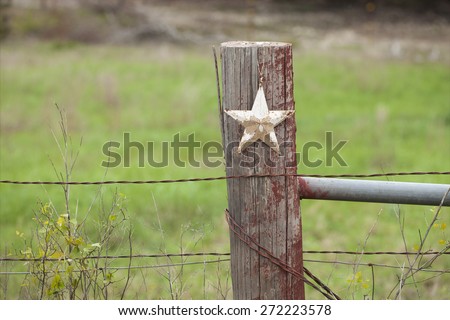 A selective focus view of a grungy white star on a wooden fence post in Texas