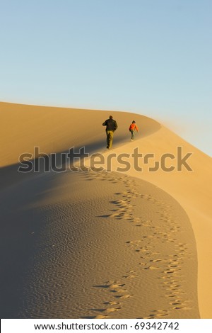 Family rises up along the crest of a sand dune