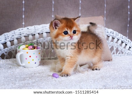 Shutterstock Puzzlepix