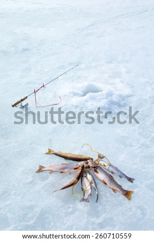Ice fishing: fishing rod, hole and catch the fish on a rope
