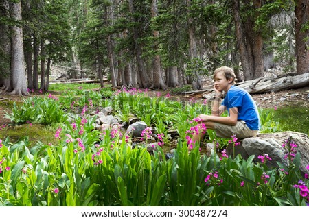 The boy sits on a rock by the stream. Great Basin National Park, Nevada