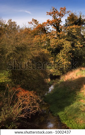 Ancient English stream in the fall, with rose hips in the foreground, viewed from a village bridge.  Beautiful and serene.