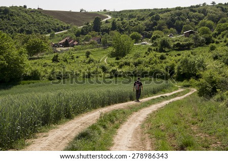man walking along the road in wheat fields