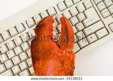 Lobster Claw and Computer Keyboard, concept of Internet, computer Criminal Activity