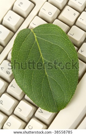 Computer Keyboard and Green leaf, concept of Environmental Conservation