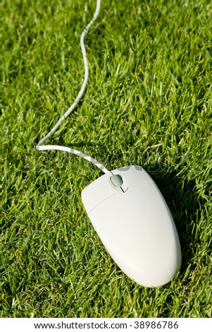 Computer Mouse and lawn, concept of Freedom, Environment Protection
