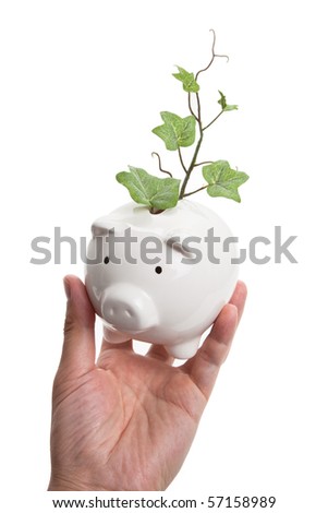 Piggy bank and plant with white background