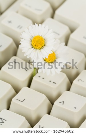 Computer Keyboard and flower, concept of Cyberspace Freedom