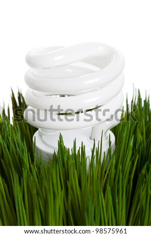 Compact Fluorescent Lightbulb and green grass