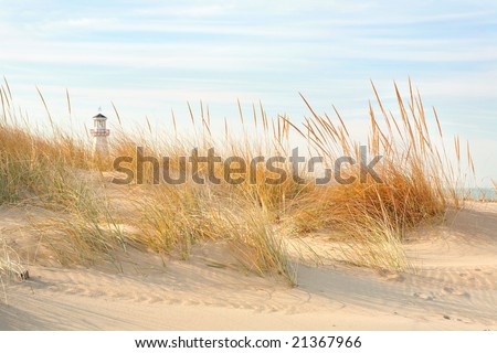 Beach Scene