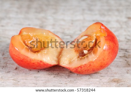 Worms in an open red cherry on wooden board.
