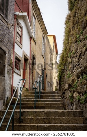 Similar – Image, Stock Photo Picturesque view narrow route between verdant plantations on hills and small village in Malaysia