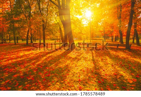 Similar – Image, Stock Photo nice evening in countryside