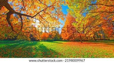 Similar – Image, Stock Photo Forest path in autumn with evening light