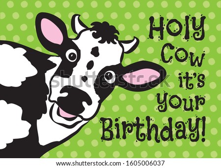 Happy cow Birthday greeting card. Smiling cow on green polka dotted background. Holy cow fun greeting card sized for 5x7