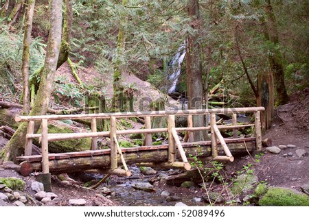 Coal Creek Falls and the Wooden Foot Bridge near Newcastle, Washington, in the Tiger Mountain State Park.